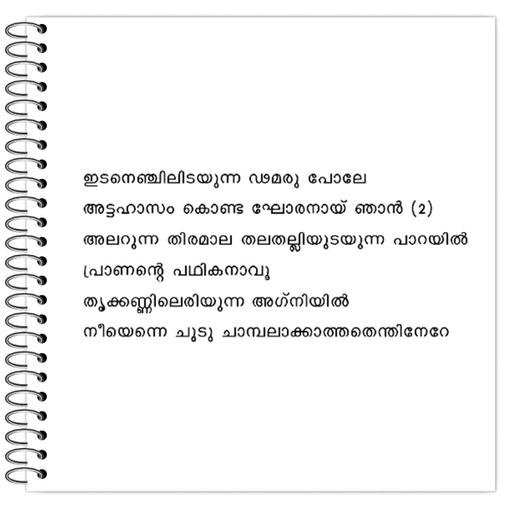 Picture of the product