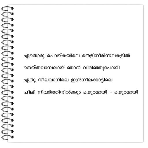 Picture of the product