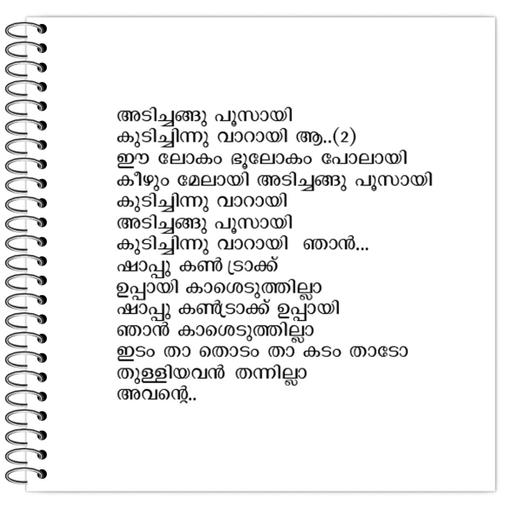 Picture of the product