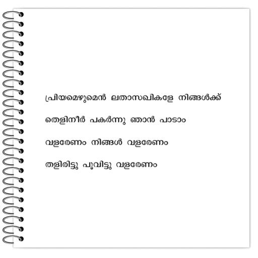 Picture of the product