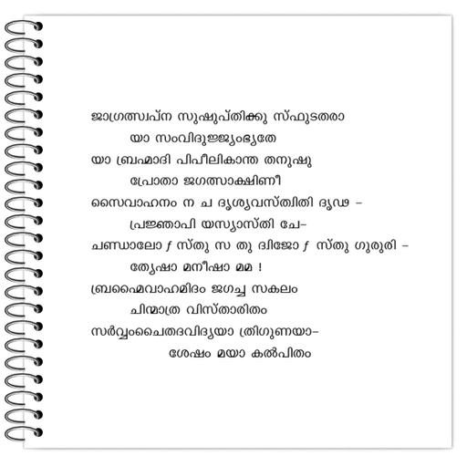 Picture of the product