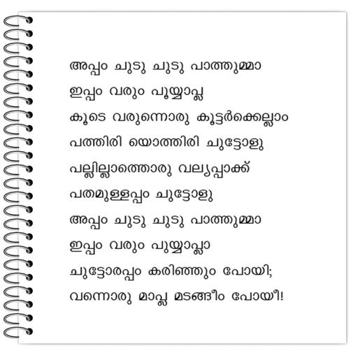 Picture of the product