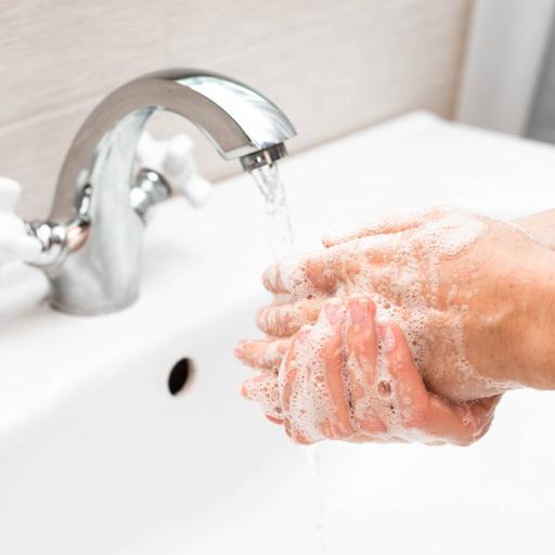 Picture of the product