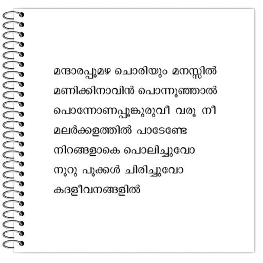 Picture of the product