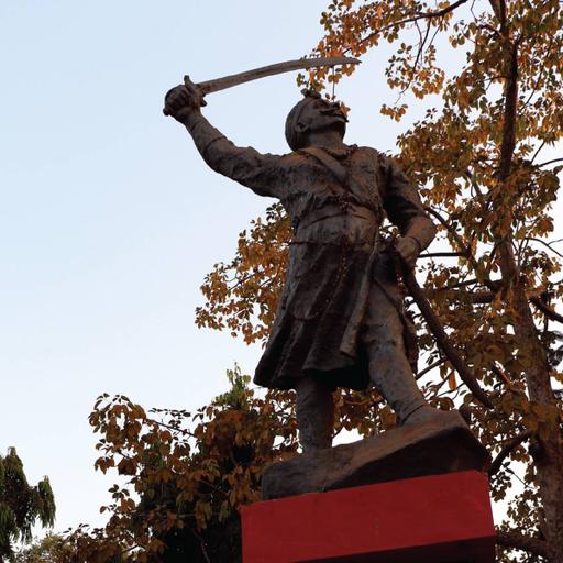 Picture of the product