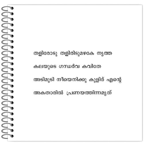 Picture of the product