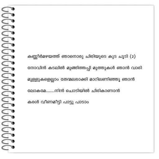 Picture of the product