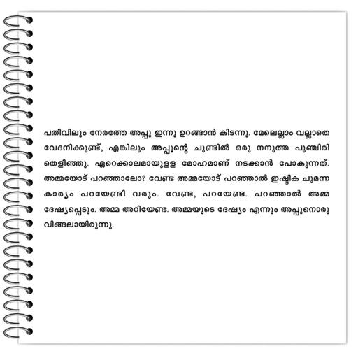 Picture of the product