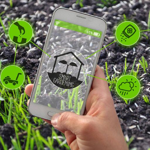 Picture of the product