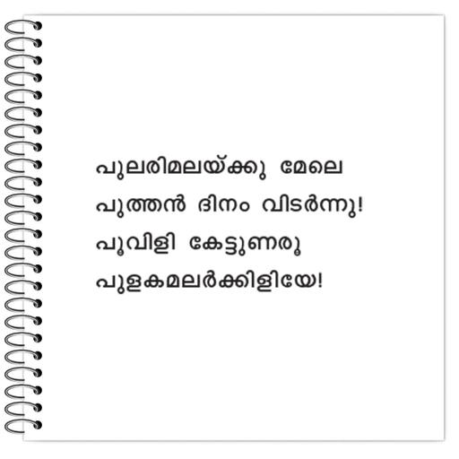 Picture of the product