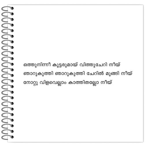 Picture of the product