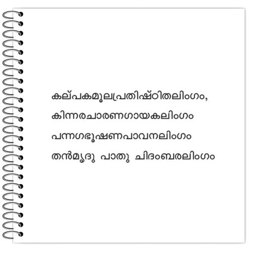 Picture of the product