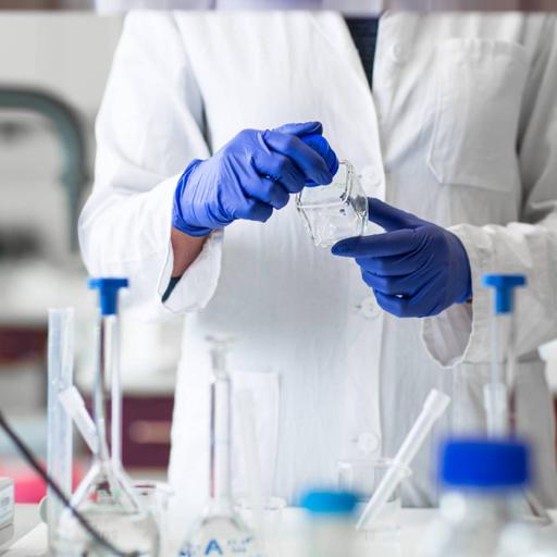 Picture of the product