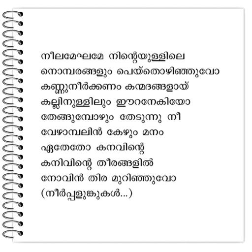 Picture of the product