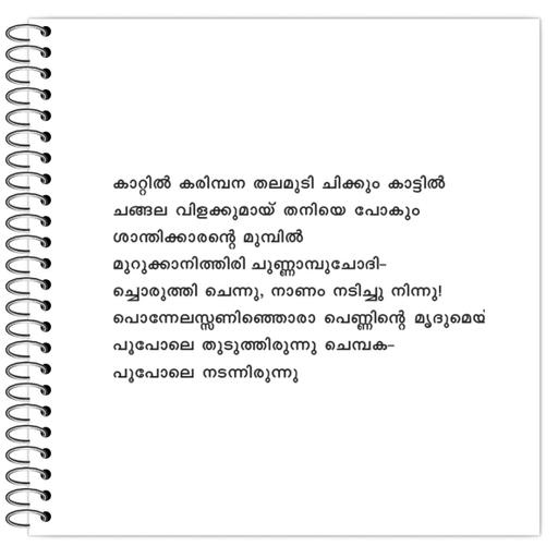 Picture of the product