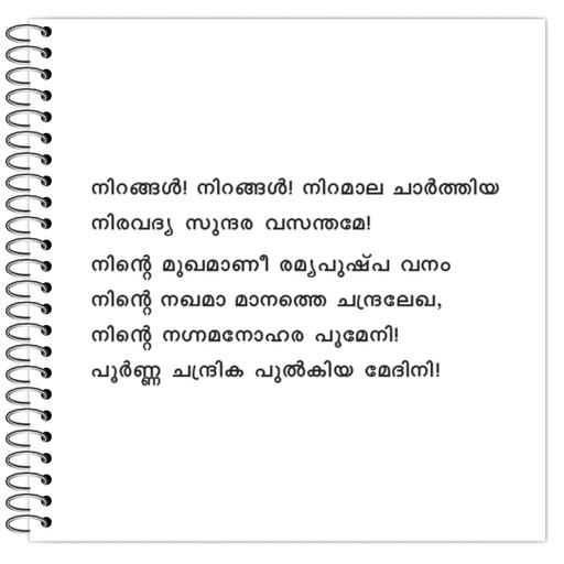 Picture of the product