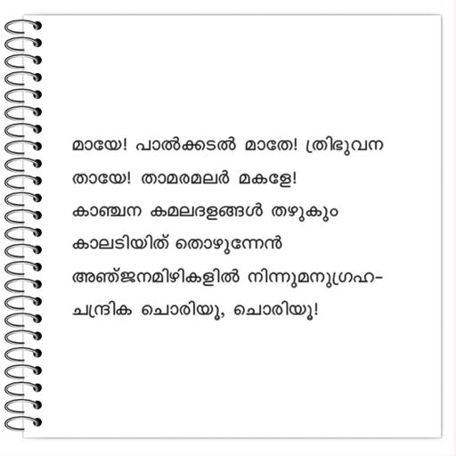 Picture of the product