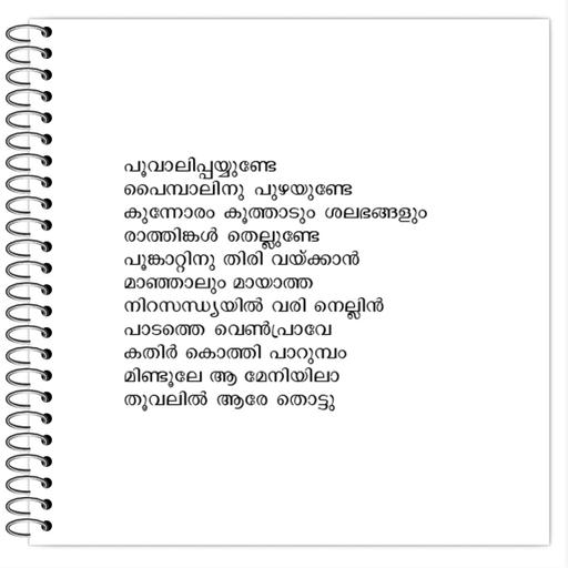 Picture of the product