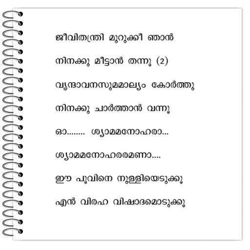 Picture of the product