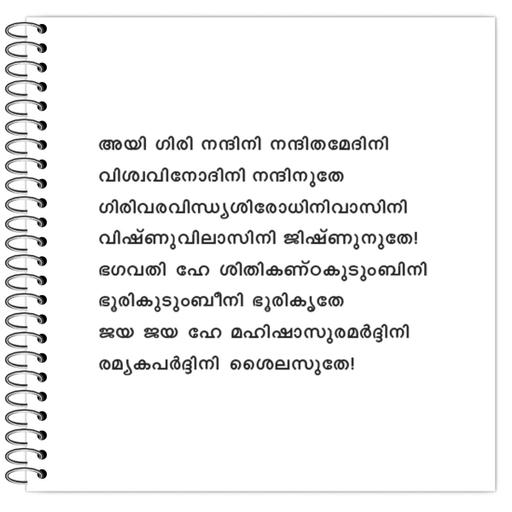 Picture of the product