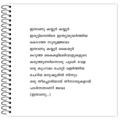 Picture of the product