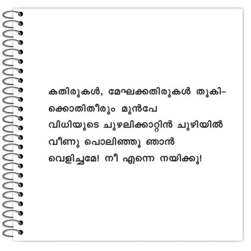 Picture of the product