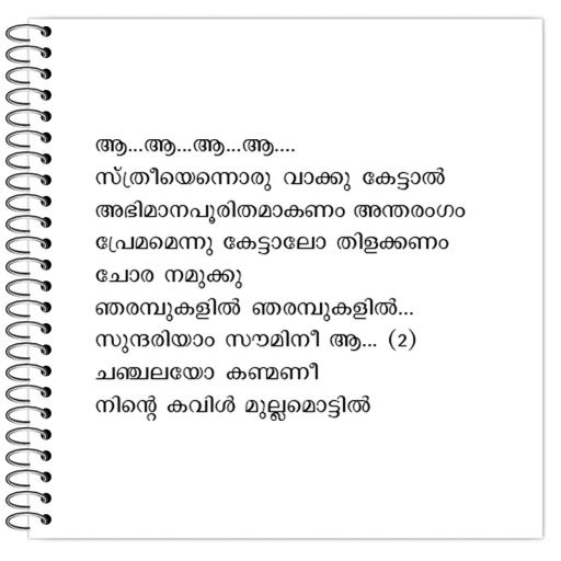 Picture of the product