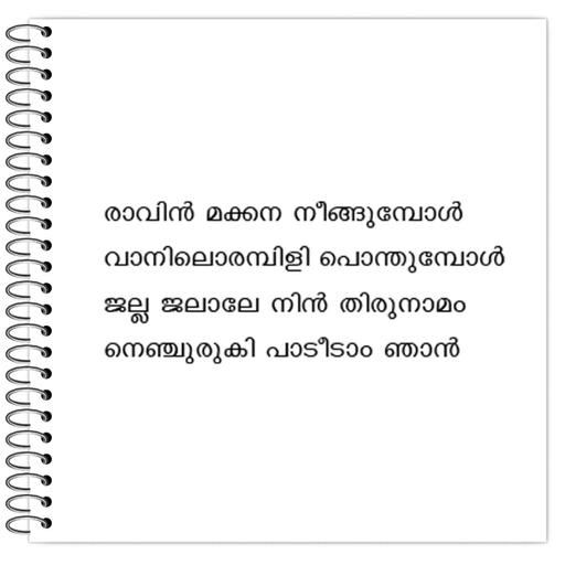 Picture of the product