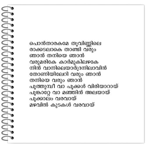 Picture of the product