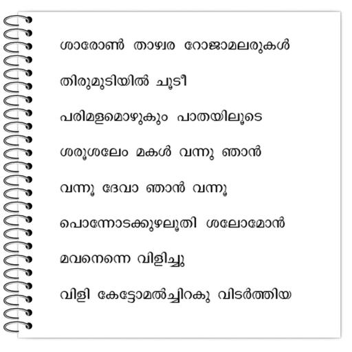 Picture of the product