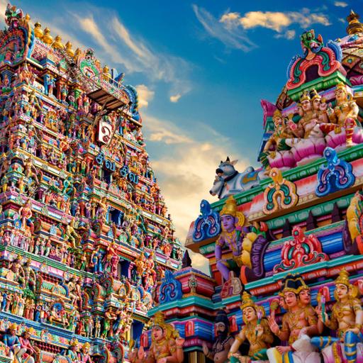 Picture of the product