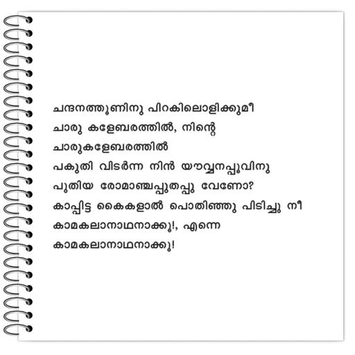 Picture of the product