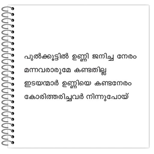 Picture of the product