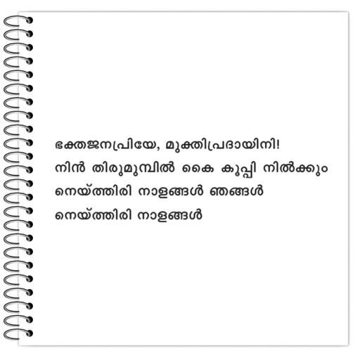 Picture of the product