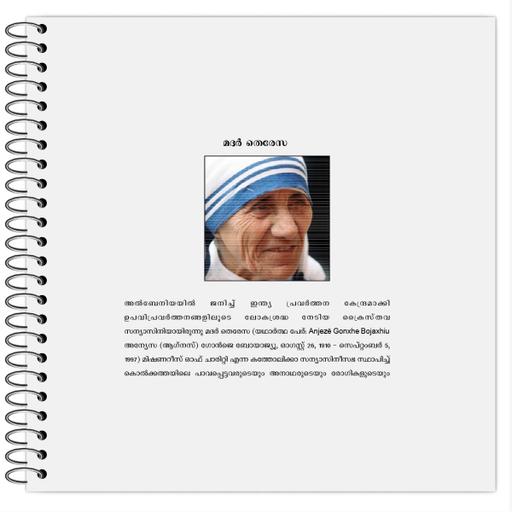 Picture of the product