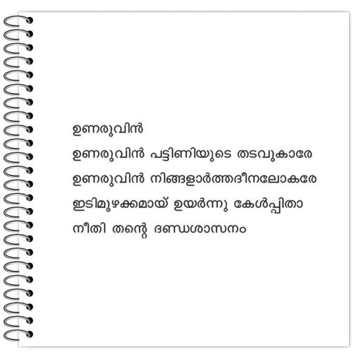 Picture of the product