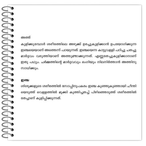 Picture of the product