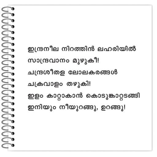 Picture of the product