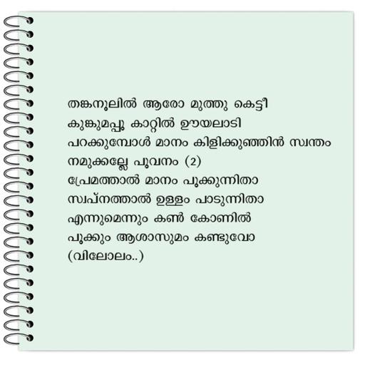 Picture of the product