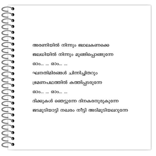 Picture of the product