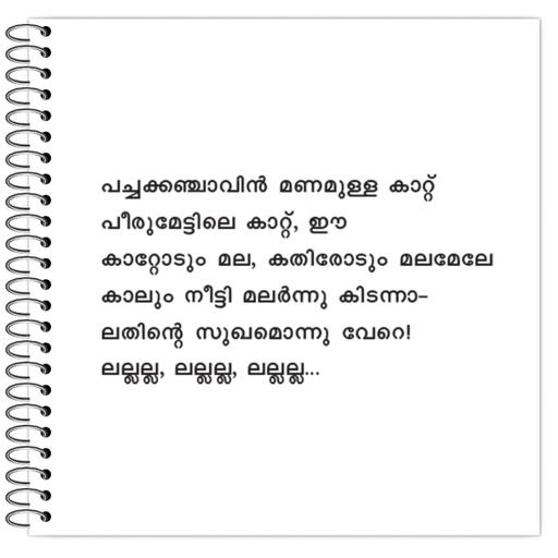 Picture of the product