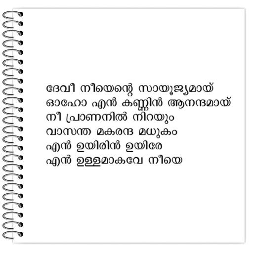 Picture of the product