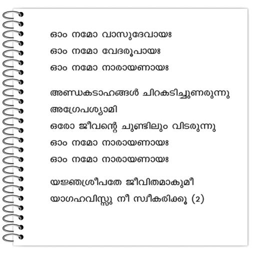 Picture of the product