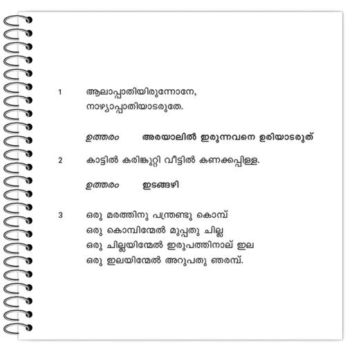 Picture of the product