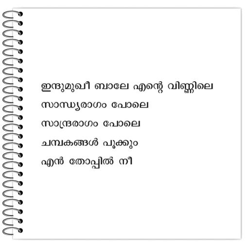 Picture of the product