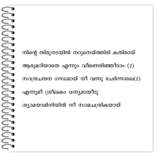 Picture of the product