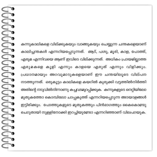 Picture of the product