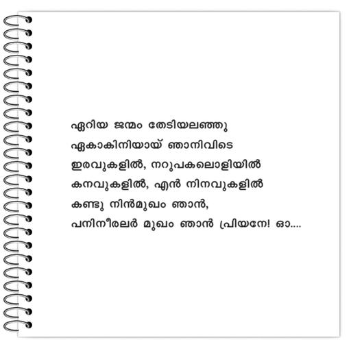 Picture of the product