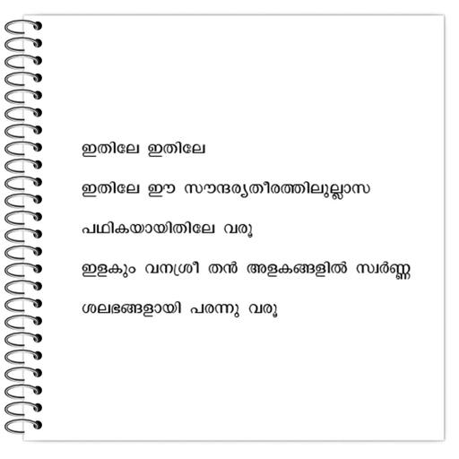 Picture of the product