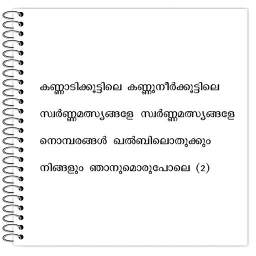 Picture of the product